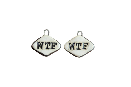 WTF... a pair of ceramic charms
